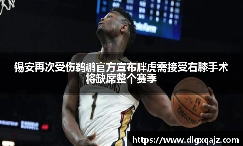 好体育官网